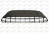 PRASCO FD4262110 Ventilation Grille, bumper